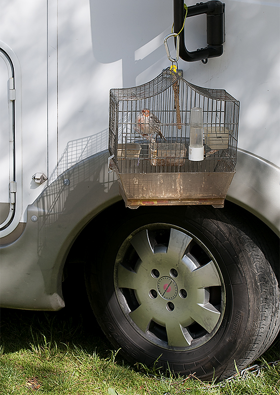 Provence 2014 +20140606_0915 als Smartobjekt-1 Kopie.jpg - Und der Womo Nachbar hatte seinen Vogel mit auf Tour